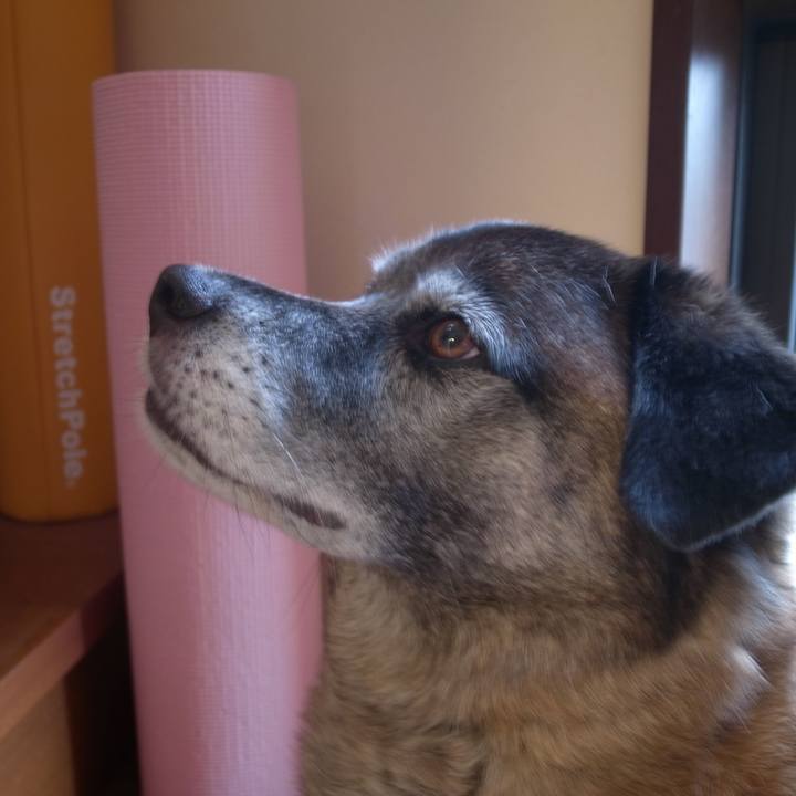 5727cea1 5857 4259 ab01 e6324dfdd980 1606955619823