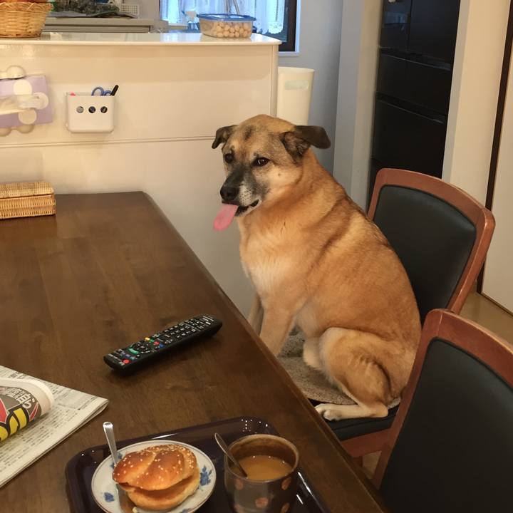 5727dcb3 1deb 4be8 9b34 da98e27f4ae7 1513038761800