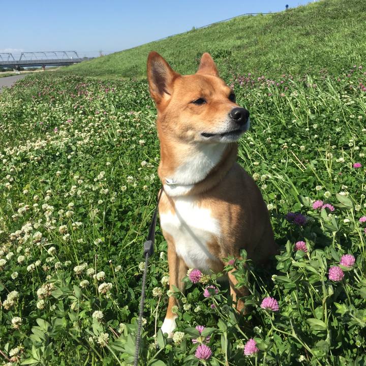 5727f8f7 3250 49eb a82f 08a3f7ca103a 1591346602773