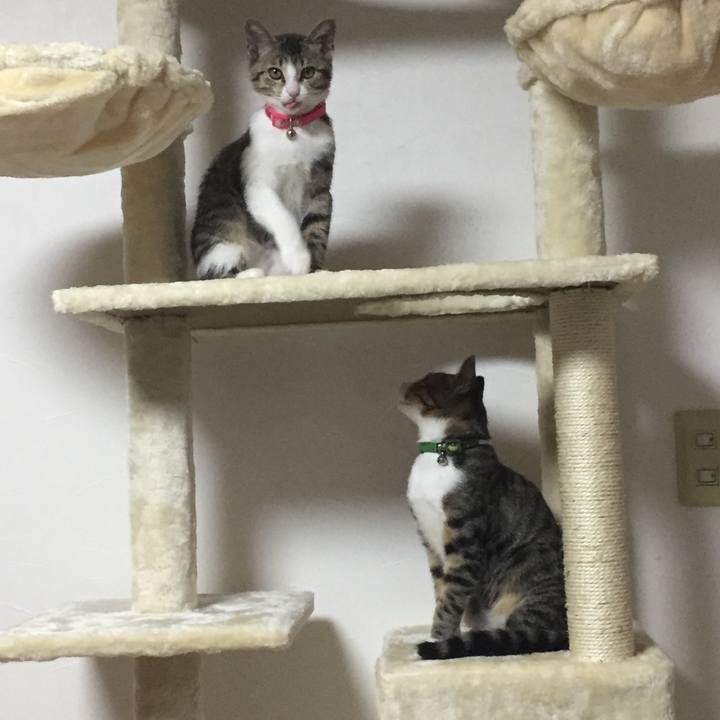 572829ef 3c8e 4641 a09e 6630d604e2b6 1657327435422