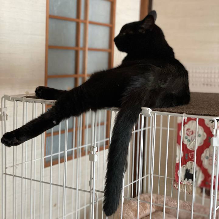 5728496b 3115 4478 8904 88d4790c5db7 1632707200697