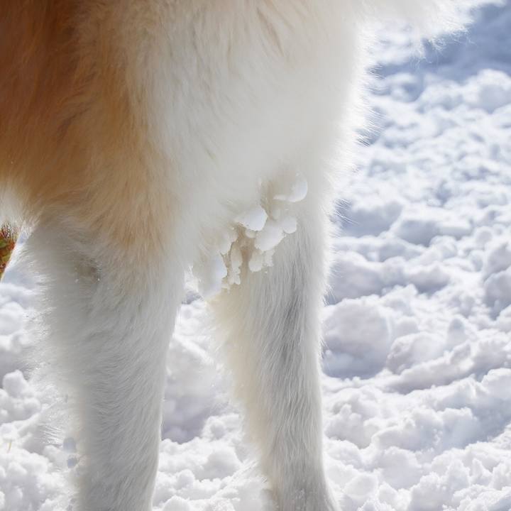 572858b3 12bf 4764 a024 2ea2348555b9 1519793322088