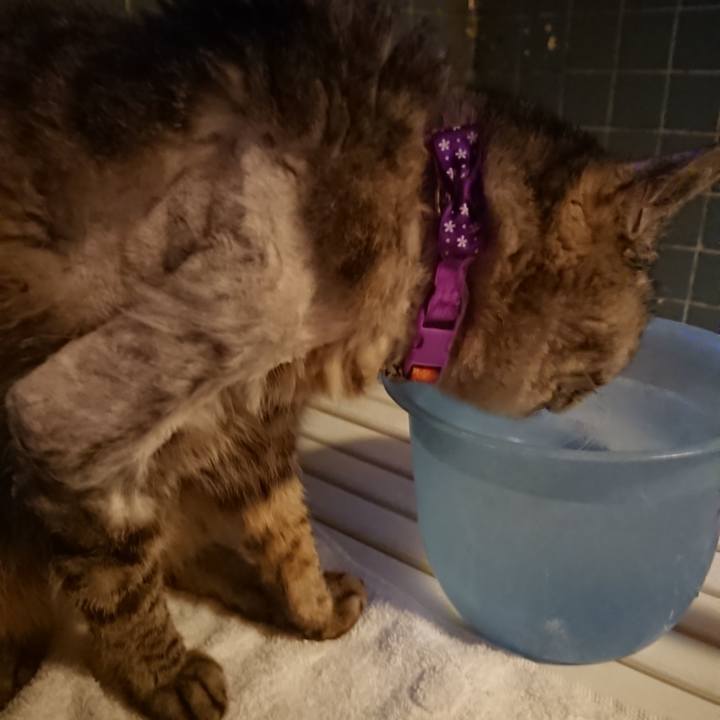 57289268 609e 4877 a8ba 99e463a6caee 1591266107292