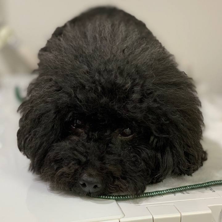 5728984b 0ecf 47a2 86ae 037972c99431 1558016183630