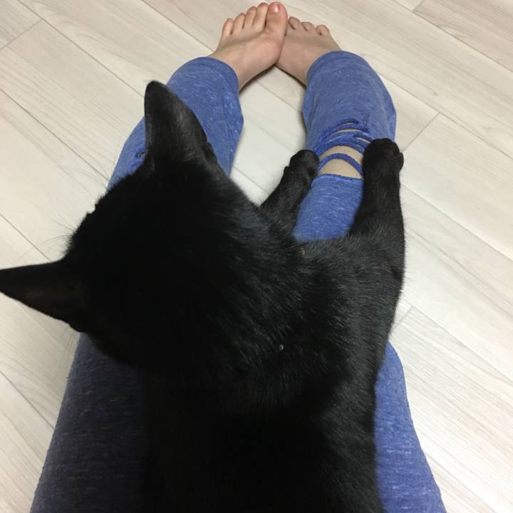 5728a9b9 ee9b 4ca7 a782 8309a9cfde6a 1511697751004