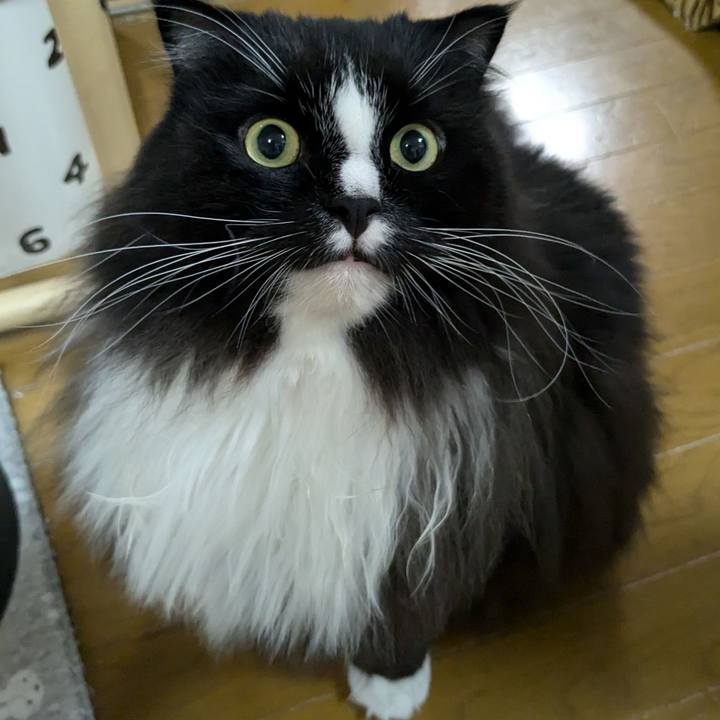 5728d72c 6af7 4c85 83ad 09d56be6dd73 1725718422560