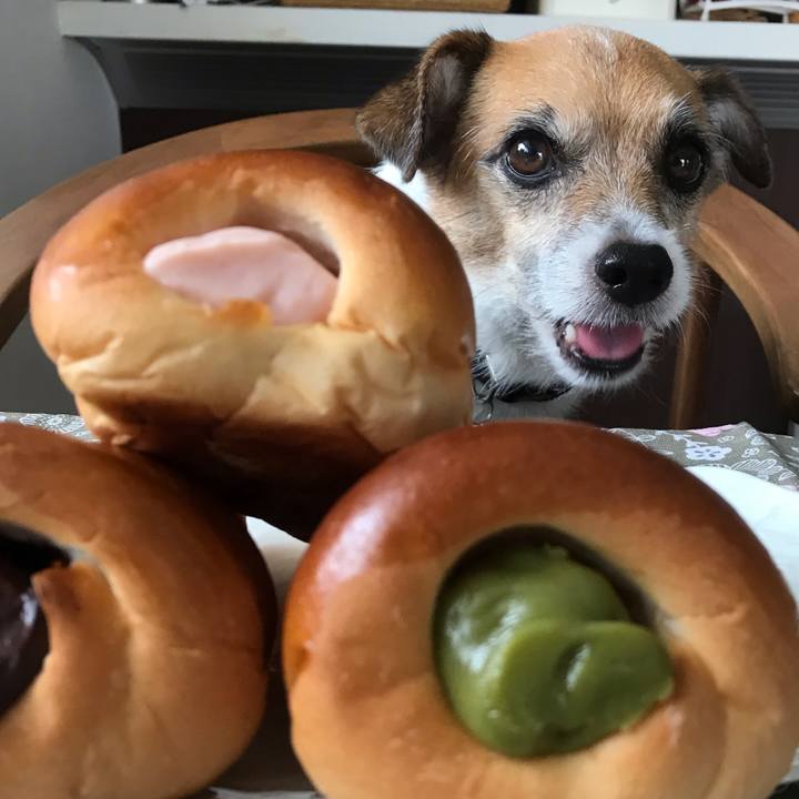 5728f967 c55d 495a 9dd1 5066c148e391 1539842547599