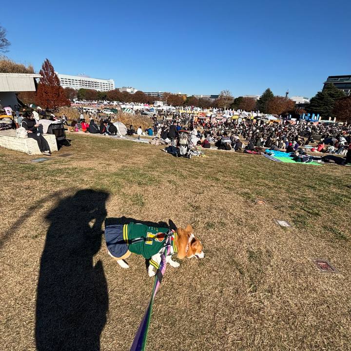 57292ddb 6aa3 4957 a6c2 ed90639cd54a 1765089355644