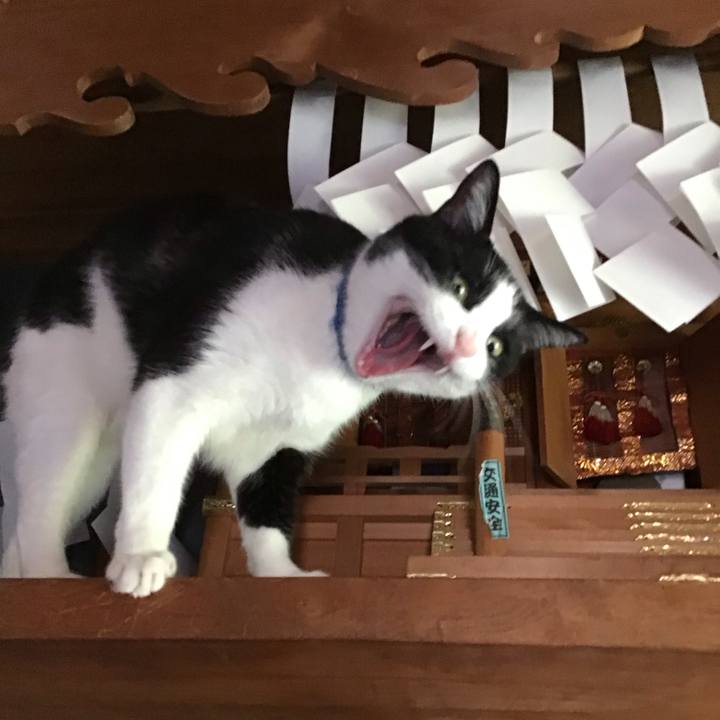 572931c9 14c9 4aac 9845 fcf59194f8d7 1746328122793