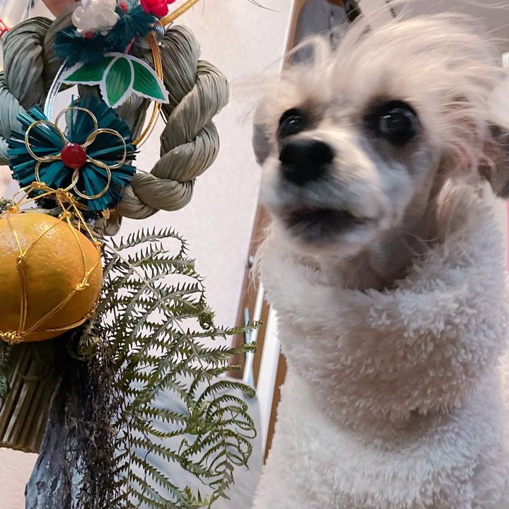 572938fc 79c2 400f b809 c4e5c3fec8f7 1767952188020