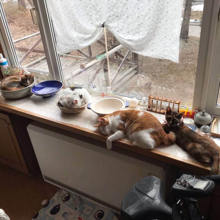 5729497b e9fa 4c69 83e1 cd012d885835 1617149137204