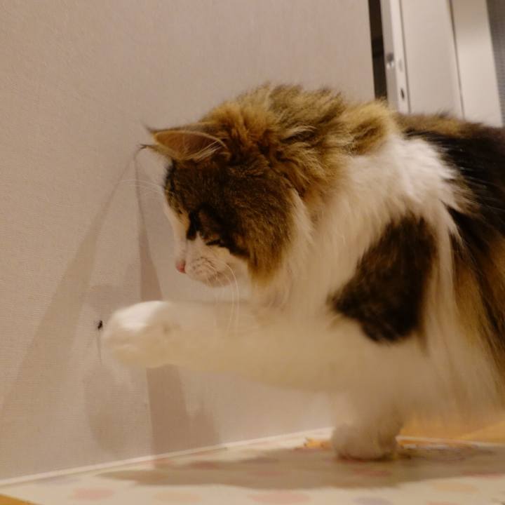 57294e9a 45e8 4de5 8808 1f460819578d 1589725025051