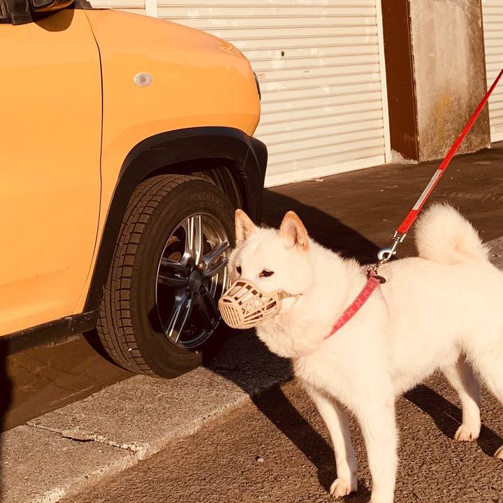 57295a95 d85f 46f5 9cf5 953ef09ba0f9 1591217460003