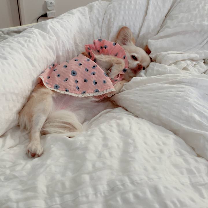 57295cb0 8ba9 4988 957b 4f553c7bc30d 1745219988574