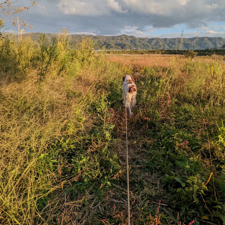 5729f6b3 2e74 4b74 a82b d30e10a69188 1636792441854