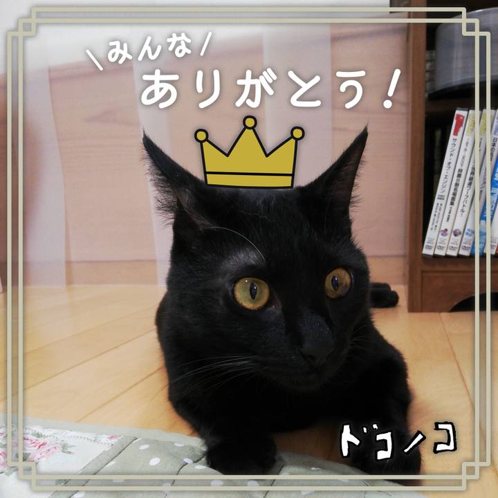 572a3017 7489 4139 8a0c 2b5c27fec4f0 1622898742513