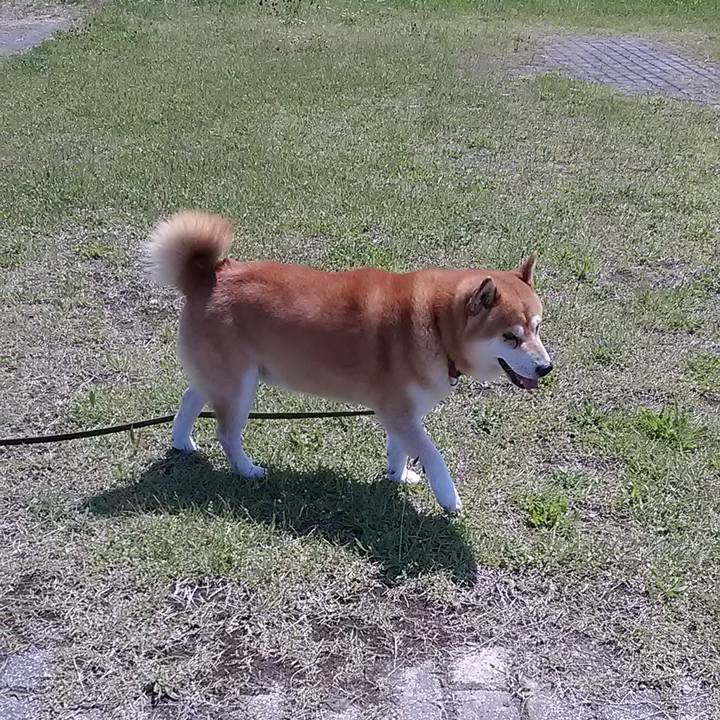 572a47a0 184b 4f5d aea5 7a7f808cb5a0 1683807346978