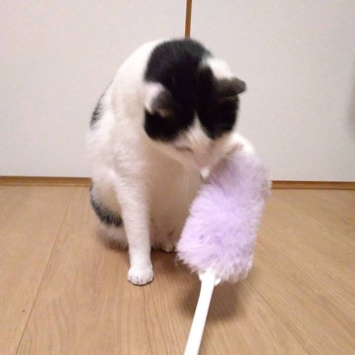 572ad3b4 d70c 4842 b3b1 f1f9084dee6b 1517916692584