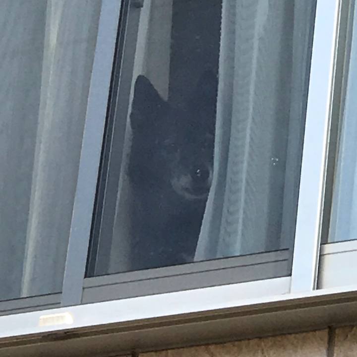 572ade93 2c42 404a 920c c6281e2ad8d3 1544710649038