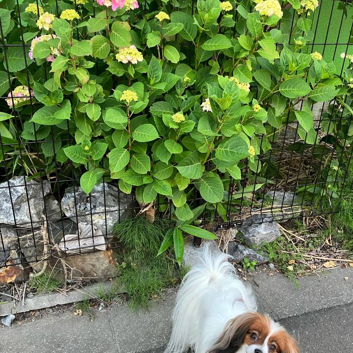 572afb59 a4e9 4898 9bdf e0278c72f716 1720050619765