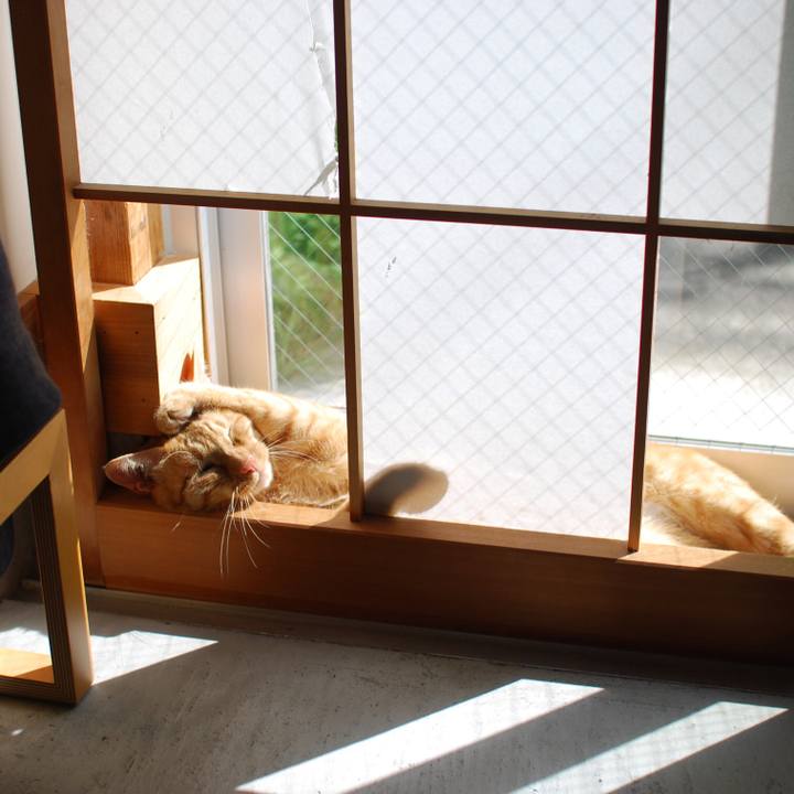 572b3a9e 6b86 4ecd 9afd 551ec800a0a2 1570260767657