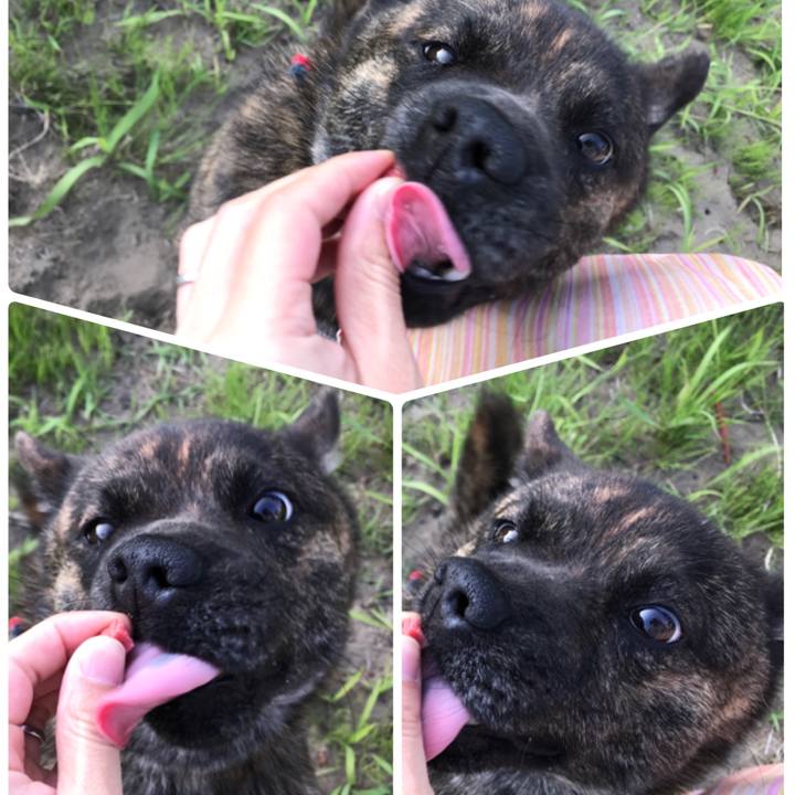 572b4e2b 315f 4890 800f 00a5e37f59f0 1527975495290