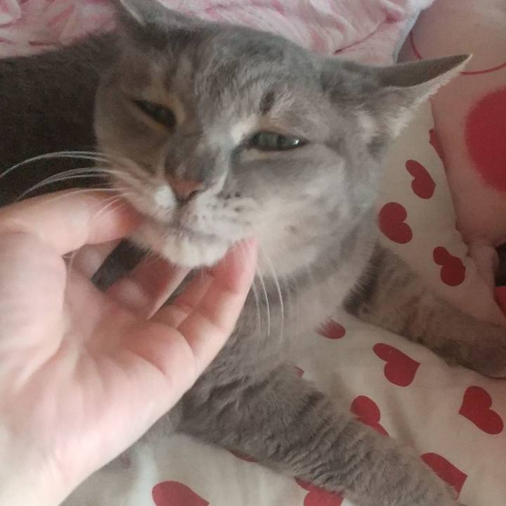 572b5a97 09dd 4db3 9a30 c6c3c85f9187 1658885104231