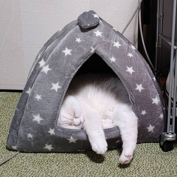 572b61a9 a884 4273 9b01 0d70e8cc589b 1642257027457