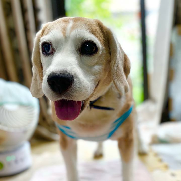 572b7063 ea07 45f6 9fd3 09af60803224 1624678396715