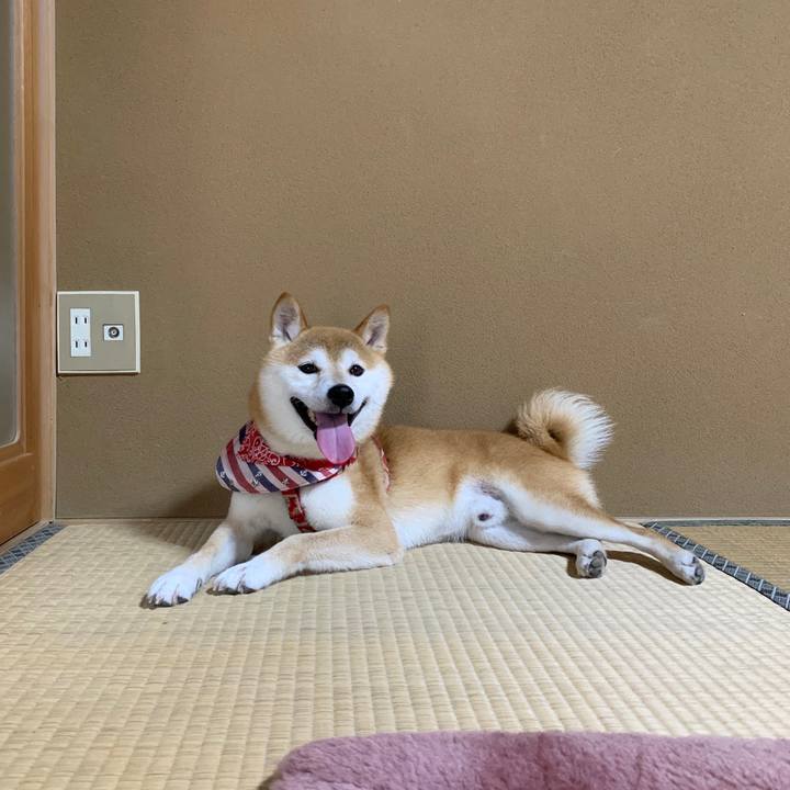 572b8f97 ac0b 4d0c ab16 bce759fbaa98 1595149507480