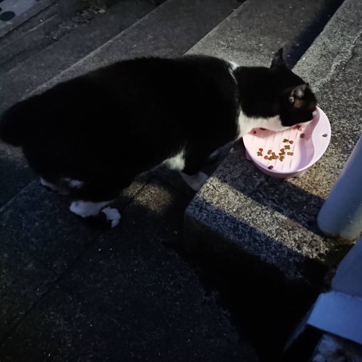 572c39ab 2849 4d3c a5b6 c83766d2e01c 1667031960301