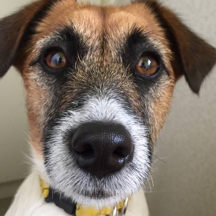 572c6cea 3a85 40c9 8a62 7065ea20129f 1523760494502