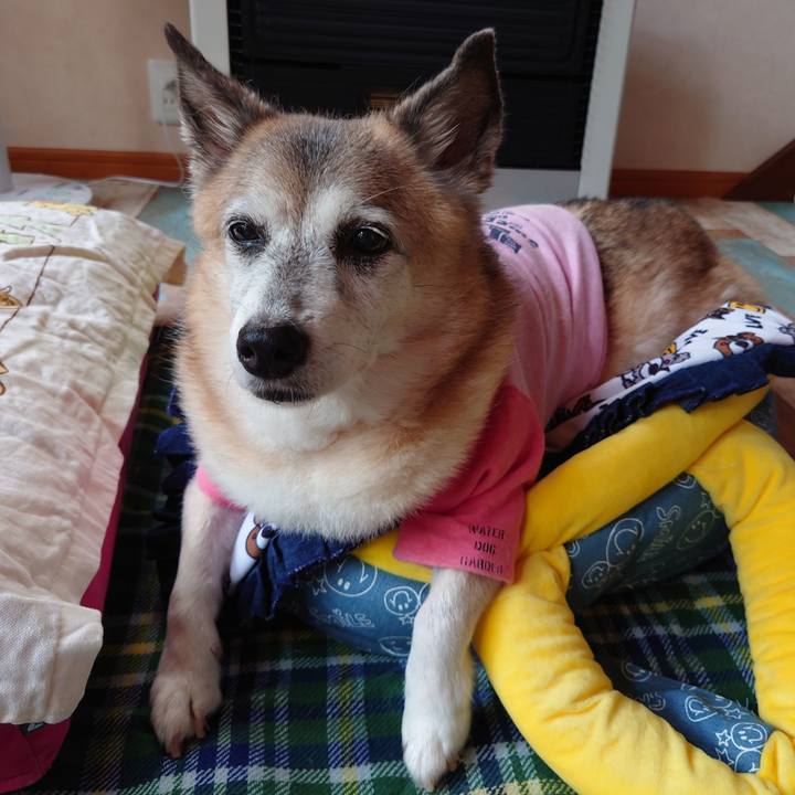 572c8811 e0c3 401c 87ee c90668eec099 1695294076884