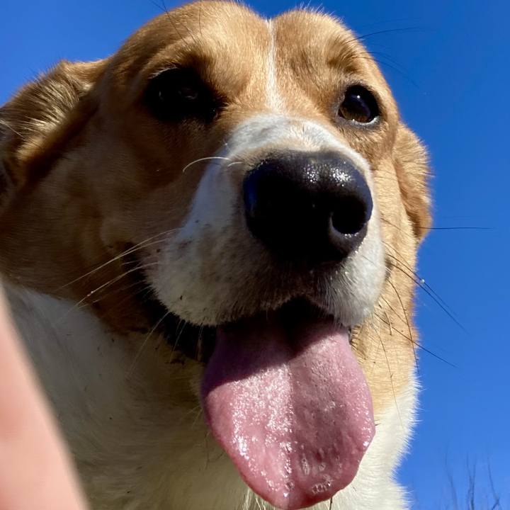 572cc453 1807 4c1a aedb b0f5f4ac0104 1706490224923