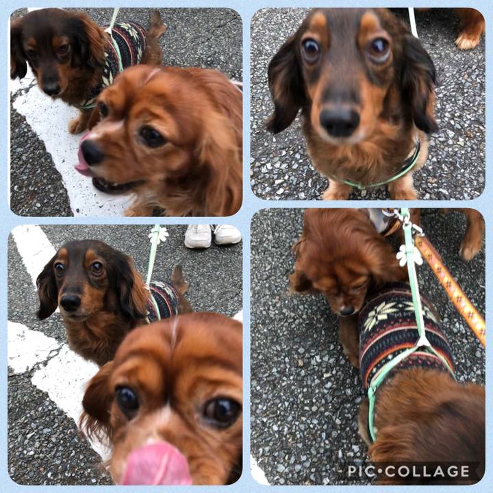 572cc60a d7f7 4954 9f9d 5bb1da0f57f7 1608454054459