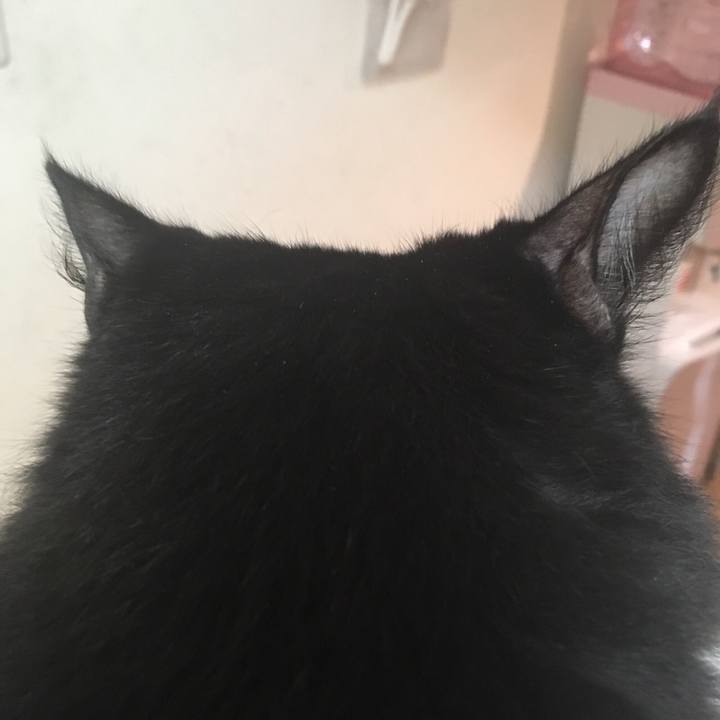 572ccb27 5647 4c09 af96 da232909a80c 1536858810778