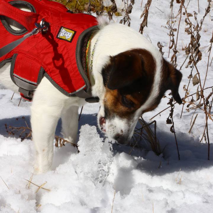 572d1178 1e1e 4a1c bc34 295a51b4bb23 1549104981745