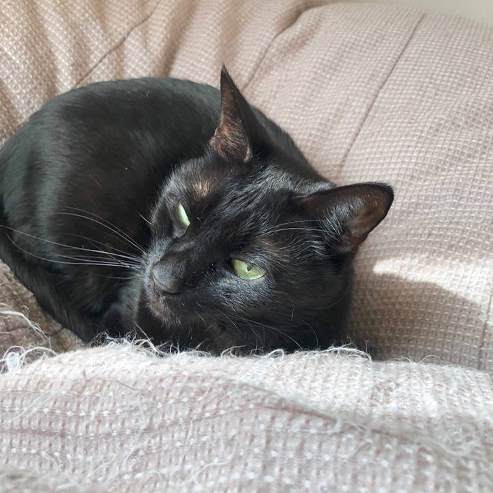 572d9536 6cf5 4243 8be4 5a0890b536fe 1586569492888