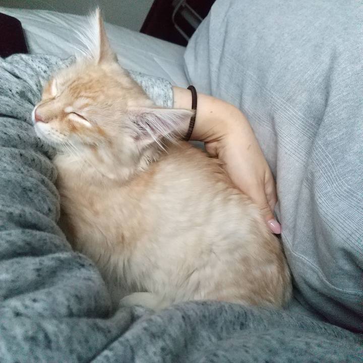 572dae53 8cc3 4fbd a3b8 7d8d85db7bb7 1607126279396