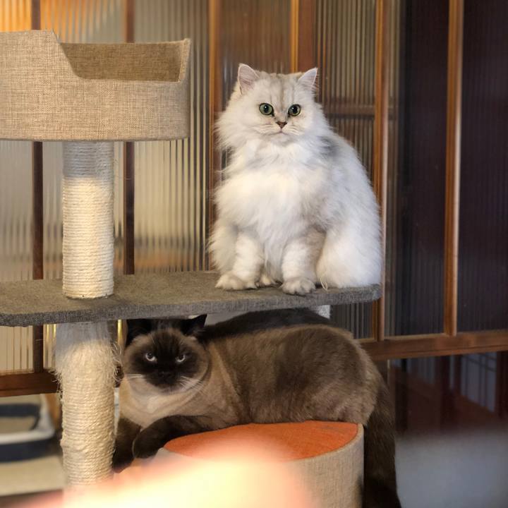 572dc421 81df 4962 964d 6b4b93c83333 1607820122315