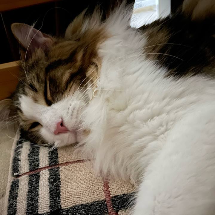 572de6aa cf19 4590 ad53 eba36feab29a 1643809652016