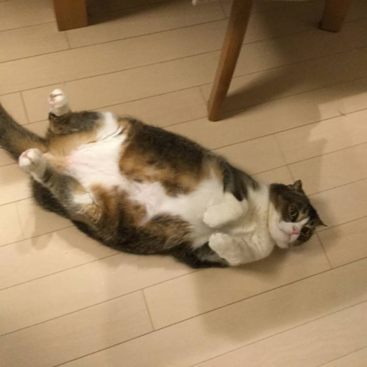 572e1362 c6f1 44a5 b8ef a4b78a533174 1548335970851