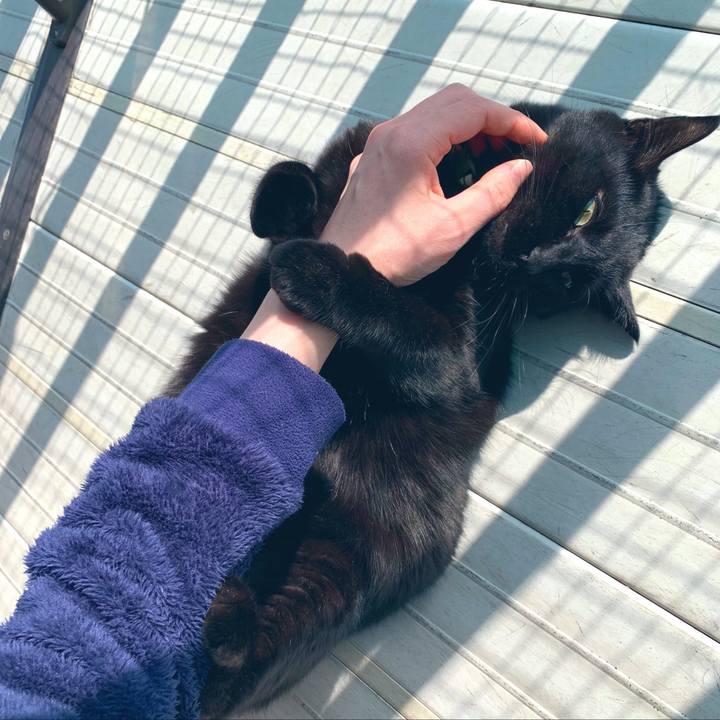 572e1477 eb2b 441b 93d6 4034433f4003 1548820245752