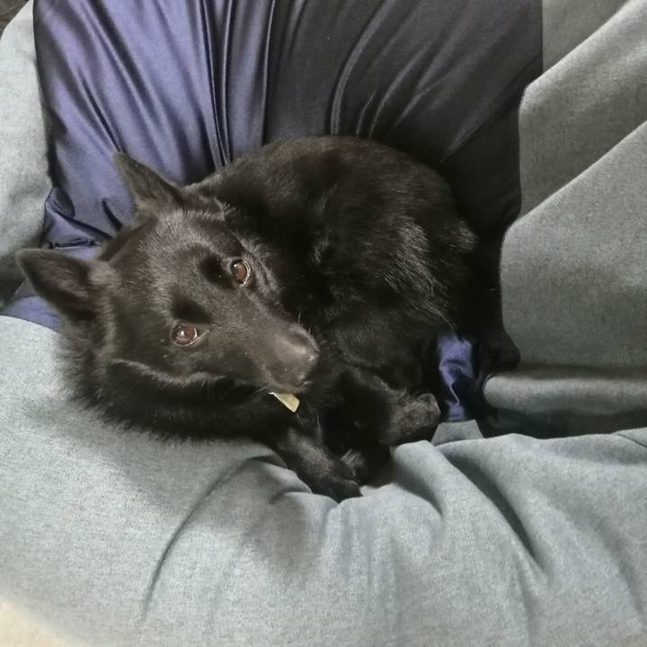 572e484e cccc 45f6 bc69 4defd0163f86 1616934296442