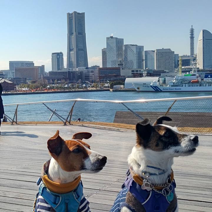 572e5baa b934 4018 8fc6 f0843a5bc123 1679226145130