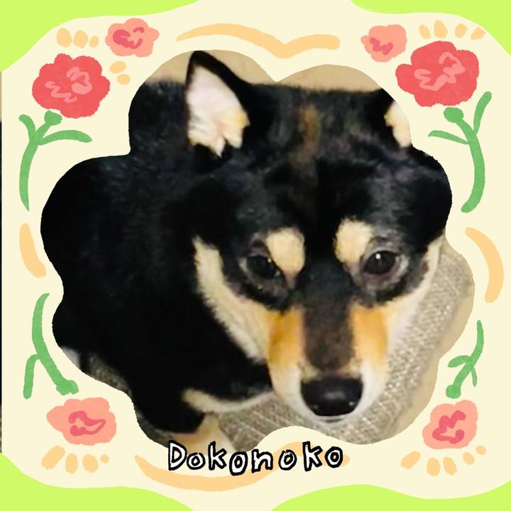 572e75a4 e5eb 4ee1 a875 60f0a16c1cbd 1715424015600