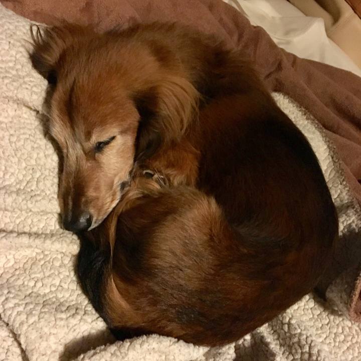 572e8357 c5cd 4ef8 998e 1913cdfa2a05 1648446244413