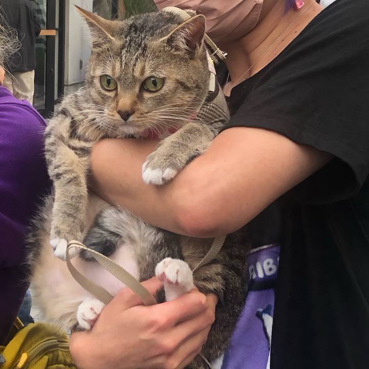 572ebcd3 a1b9 4609 ac3c 185c45cf5362 1699179869375