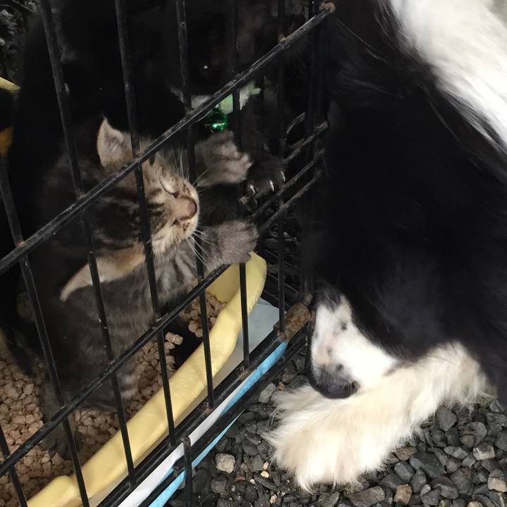 572ec169 769f 48a4 8cd6 bcd673869441 1563500932232