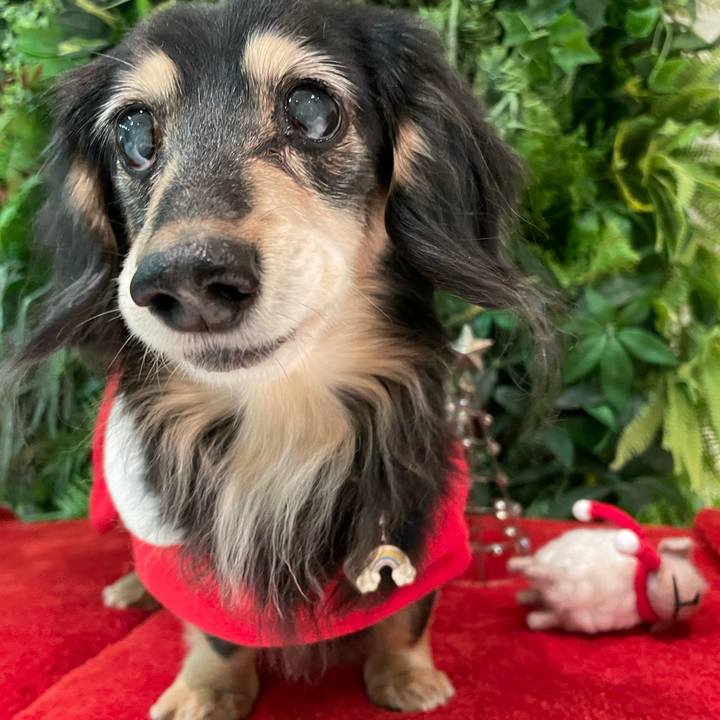 572eedac e1ee 4efb b208 3886420e365a 1703422871653